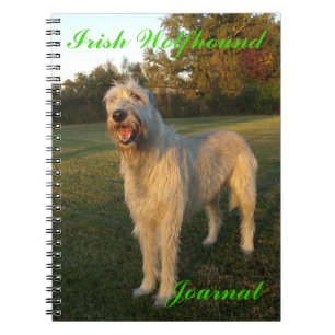 Journal de chien-loup irlandais