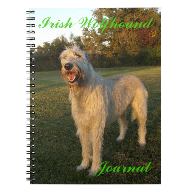 Journal de chien-loup irlandais (Devant)