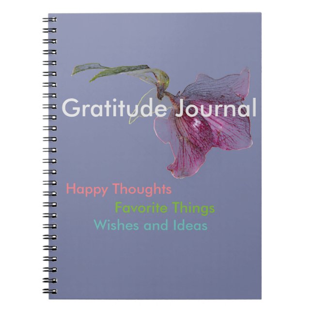 Journal de gratitude de carnet (Devant)