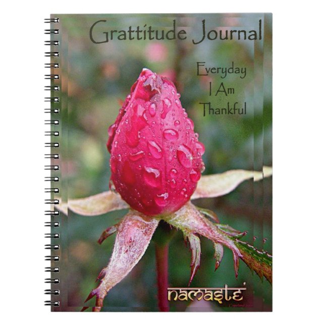 Journal de gratitude : Image par Richard Copeland (Devant)