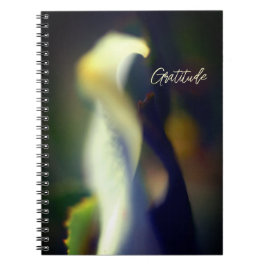 Journal de Gratitude Spirale