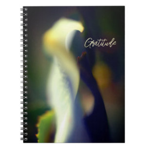 Journal de Gratitude Spirale