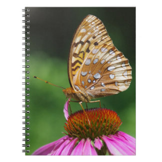 Journal de papillon