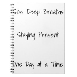 Journal de récupération