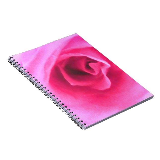 Journal de rose de rose (Côté Droit)