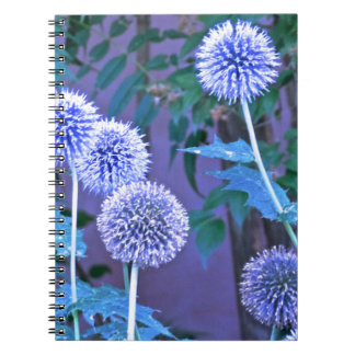 journal d'écriture