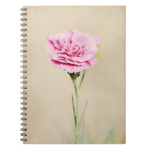 Journal des fleurs de carnation rose