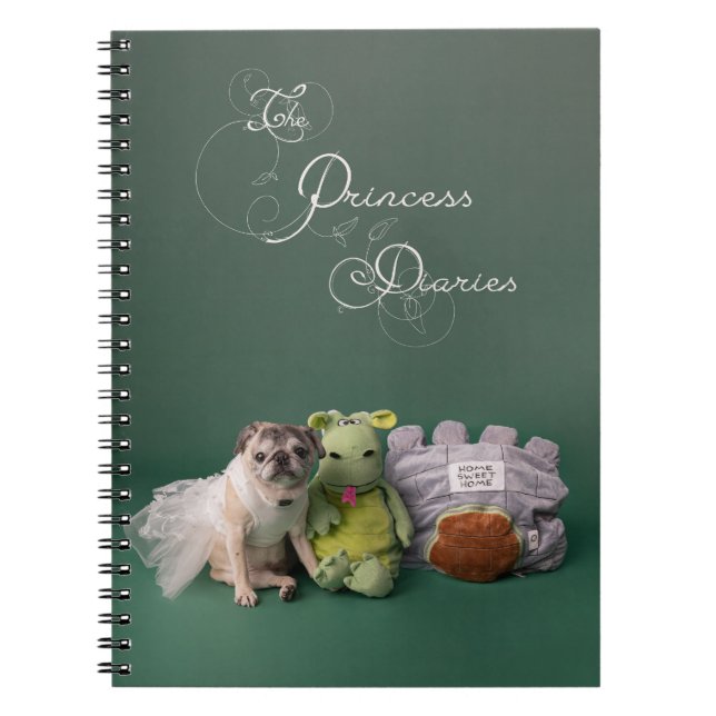Journal des princes - Carnet Carlin (Devant)