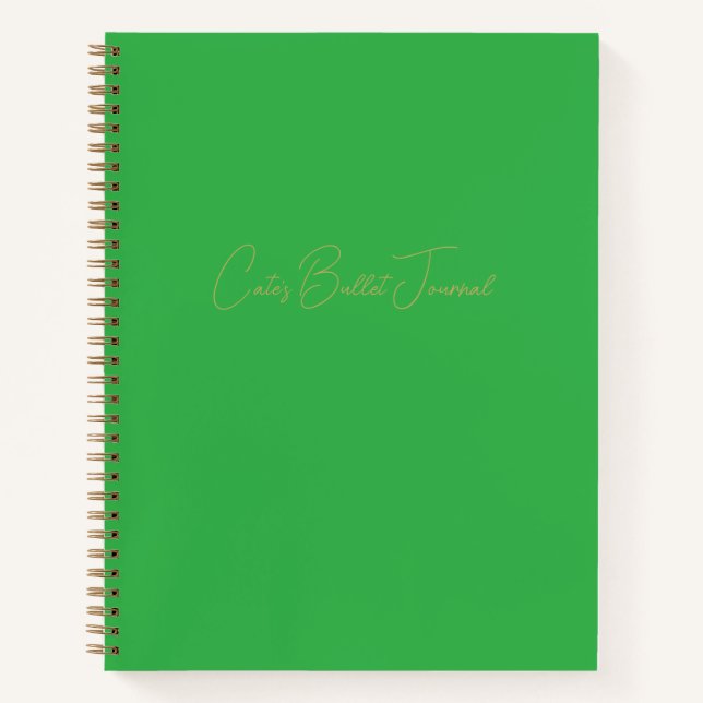 Journal des puces de Carnet personnalisé vert (Devant)