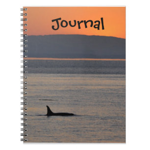 Journal d'orque de coucher du soleil