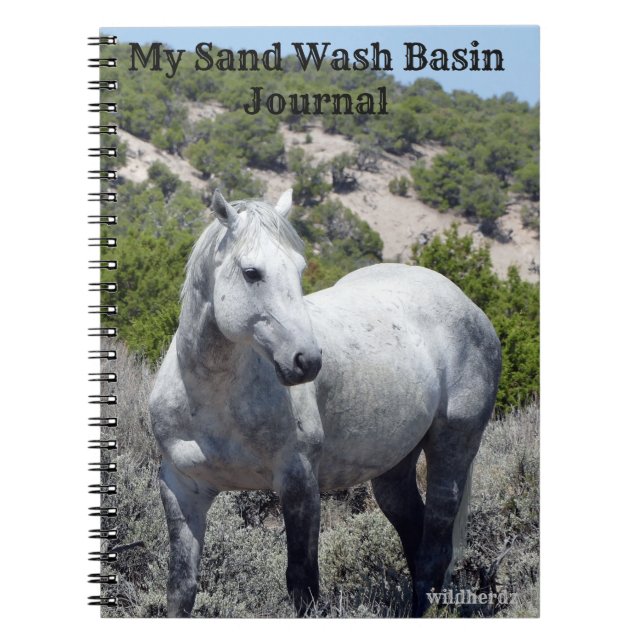 Journal du bassin de lavage du sable (Devant)