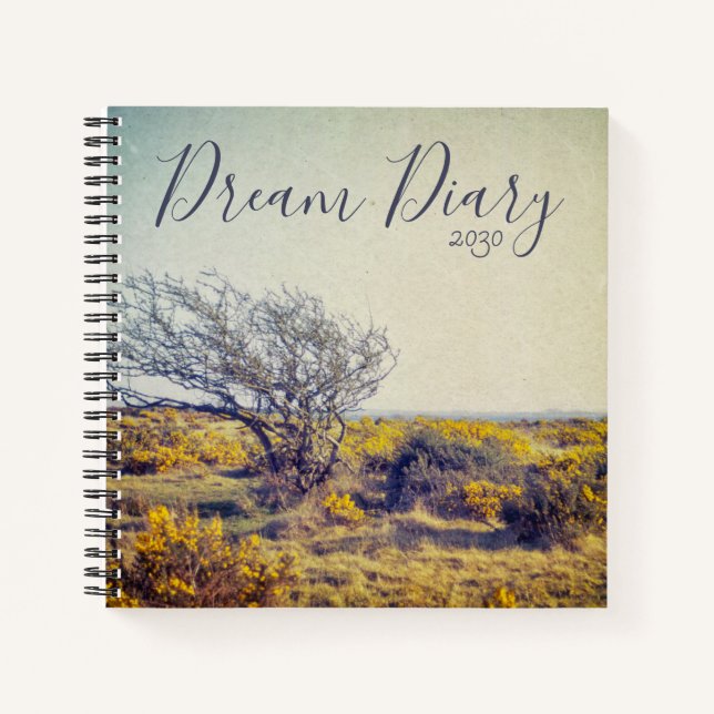 Journal du rêve vivid du paysage de l'arbre (Devant)