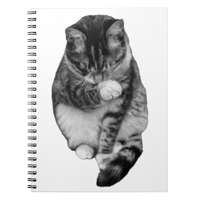 Journal Gentil Silence (Devant)