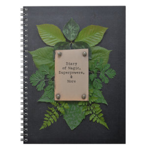 Journal intime des superpuissances