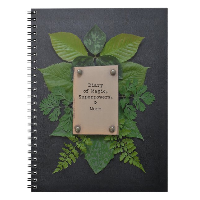 Journal intime des superpuissances (Devant)