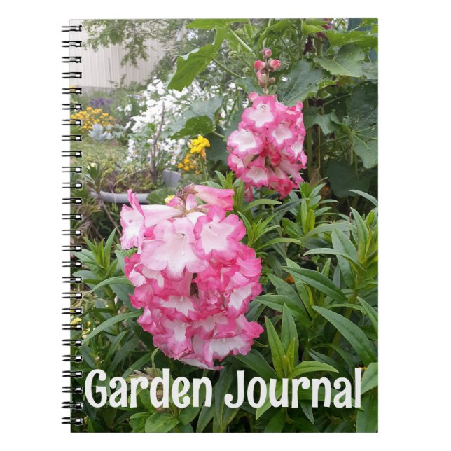 Journal Jardin Pendenstein rose Fleurs de printemp (Devant)