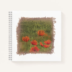 Journal MATTHIEU 6:28