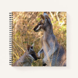 Journal mit Koala und Wallabies in Australien Notizbuch