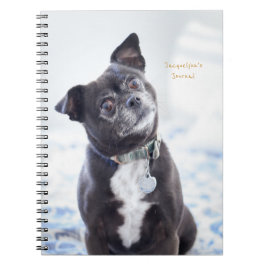 Journal personnalisé du chien mou