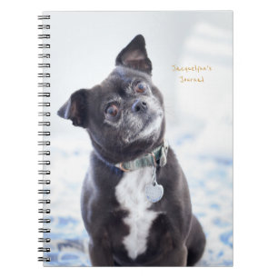 Journal personnalisé du chien mou