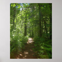 Journées d'été (6) Affiche