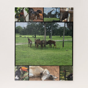 Jours au Zoo - Collage de Puzzle Animal