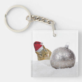 Jours de Noël d'argent et de neige à Chipmunk