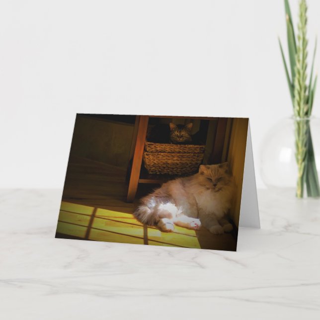 Jours lents, carte (Devant)