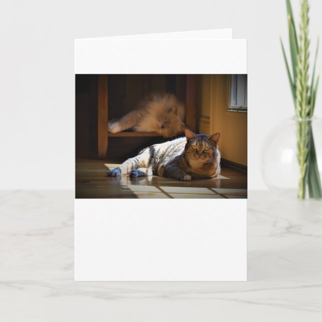 Jours lents, carte (Devant)