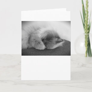 Jours lents, carte