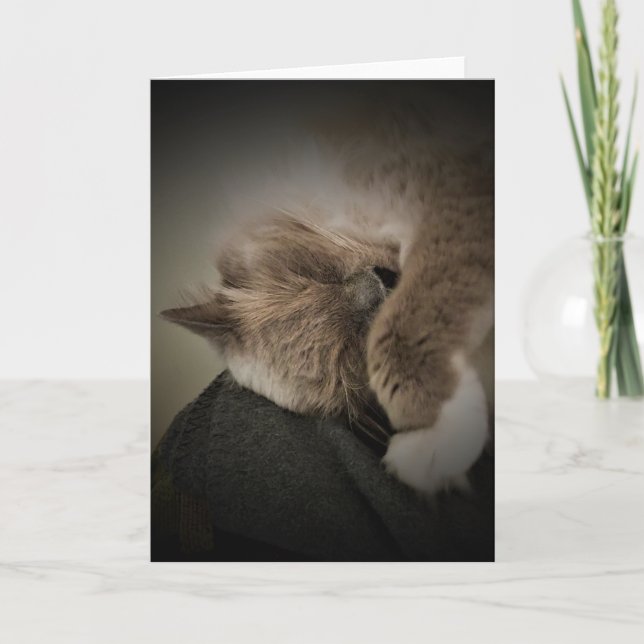 Jours lents, carte (Devant)