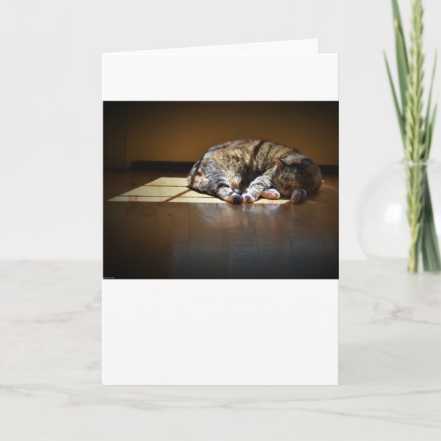 Jours lents, carte (Devant)