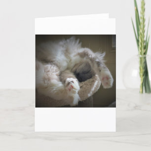 Jours lents, carte