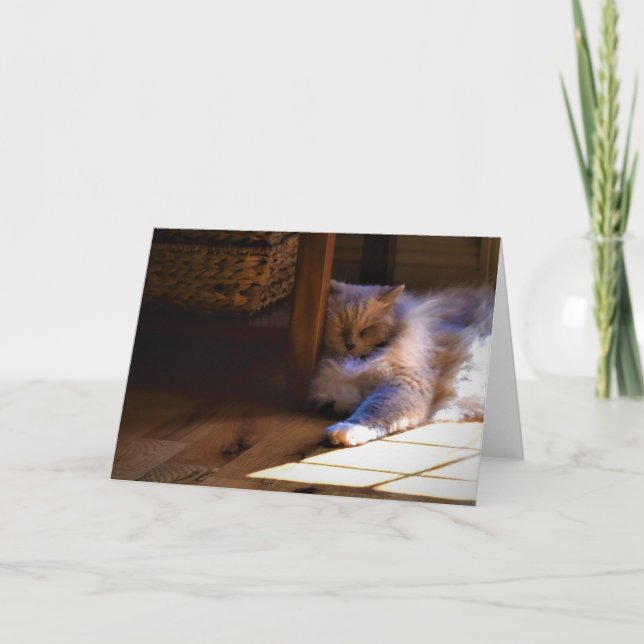 Jours lents, carte (Devant)