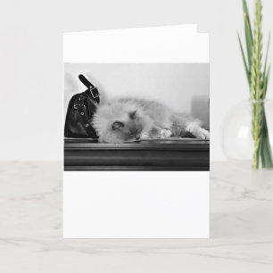 Jours lents, carte