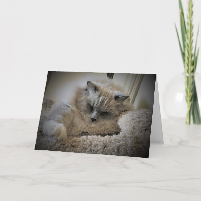 Jours lents, carte (Devant)