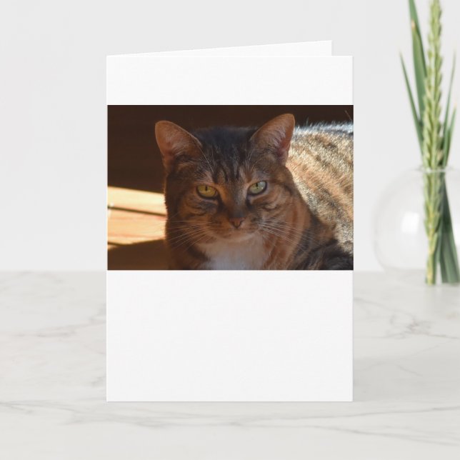 Jours lents, carte (Devant)