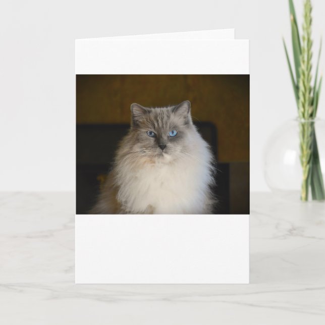 Jours lents, carte (Devant)