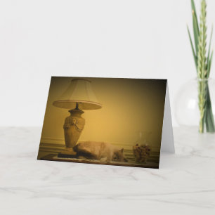 Jours lents, carte