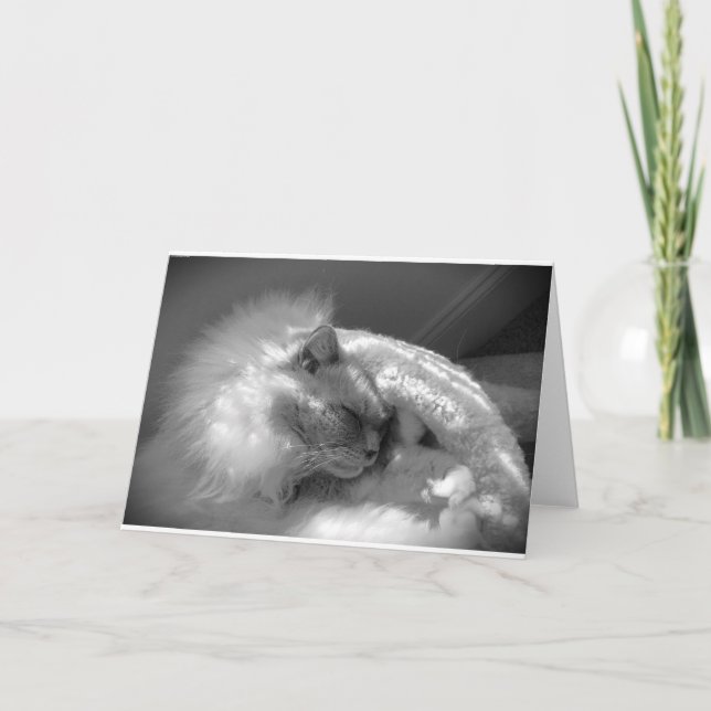 Jours lents, carte (Devant)