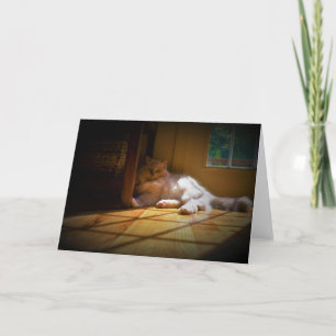 Jours lents, carte