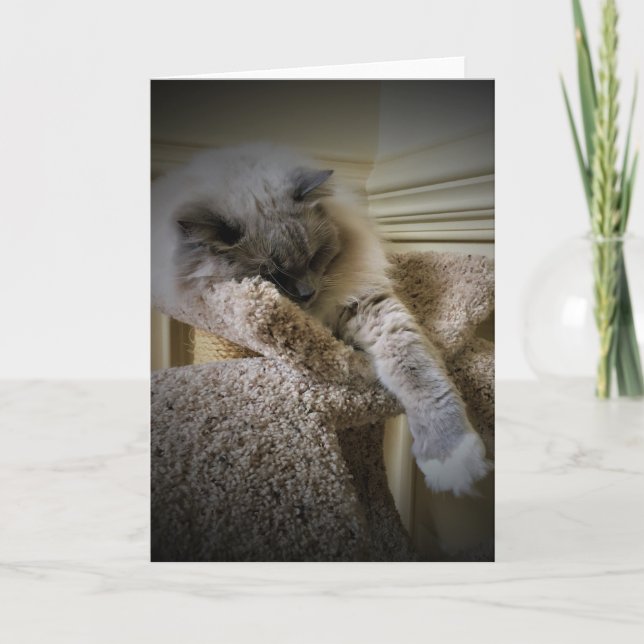 Jours lents, carte (Devant)