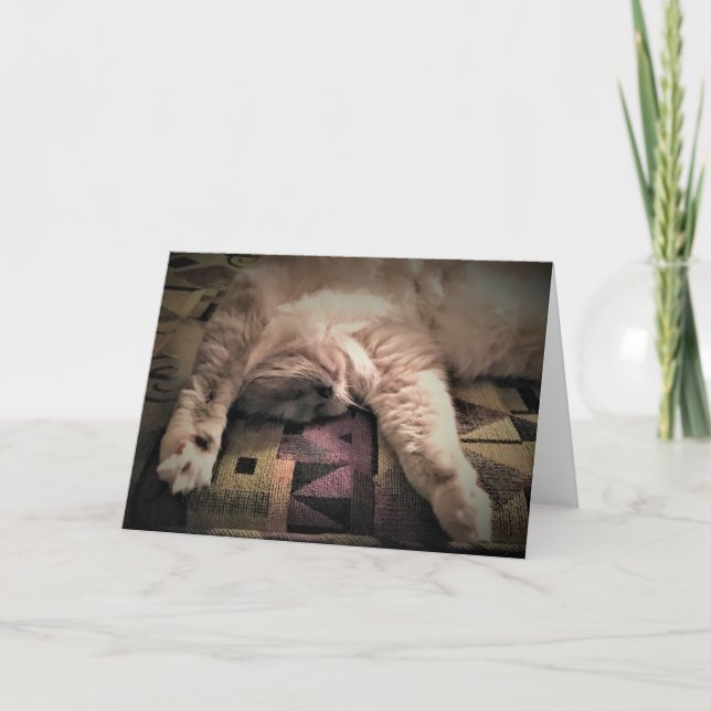 Jours lents, carte (Devant)
