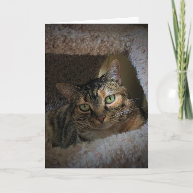 Jours lents, carte (Devant)