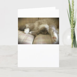 Jours lents, carte