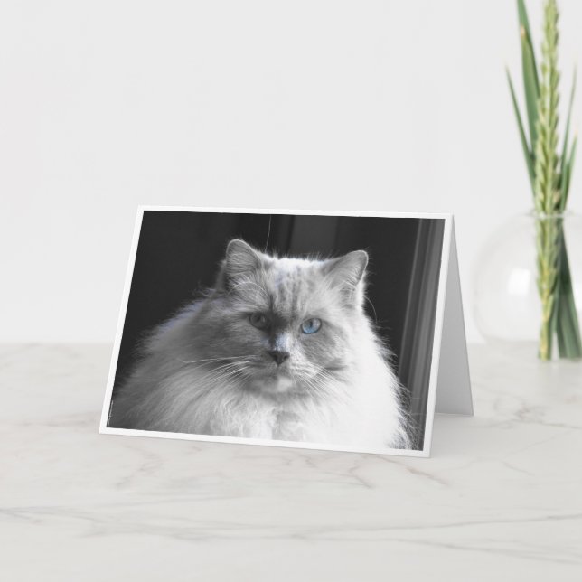 Jours lents, carte (Devant)