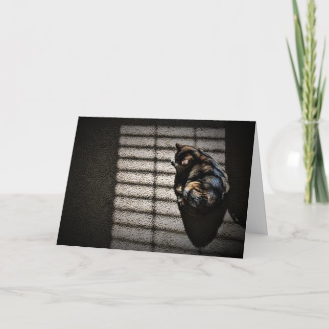 Jours lents, carte (Devant)