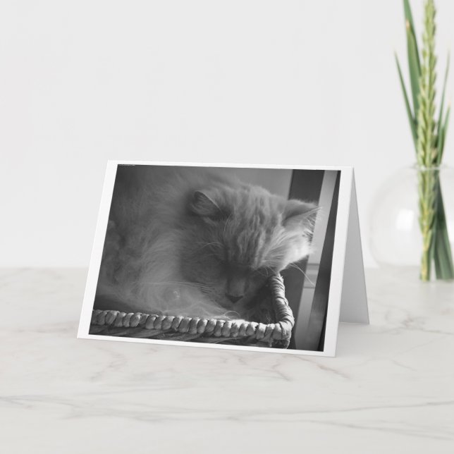 Jours lents, carte (Devant)