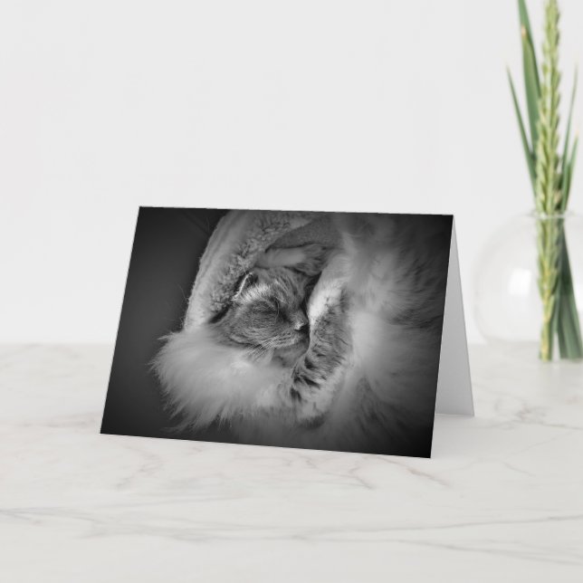 Jours lents, carte (Devant)