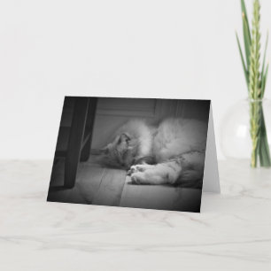 Jours lents, carte